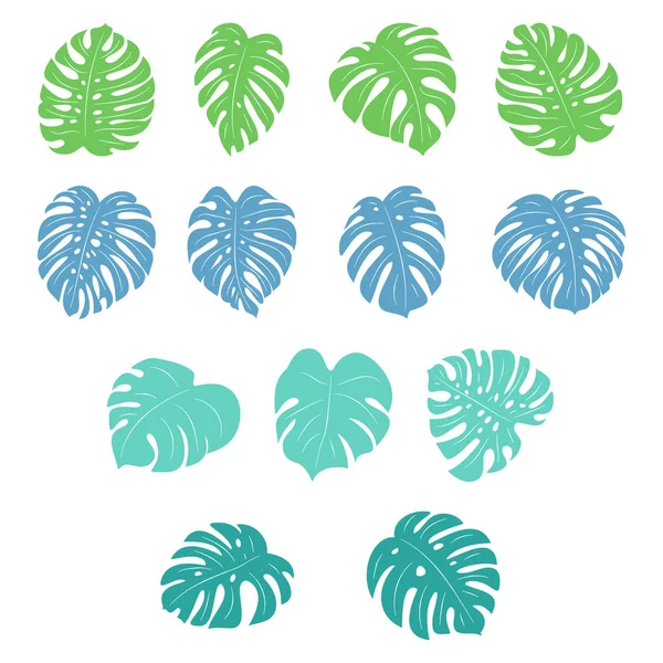 Monstera. Conjunto de plantas tropicales de dibujos animados planos vectoriales aislados en — Vector de stock