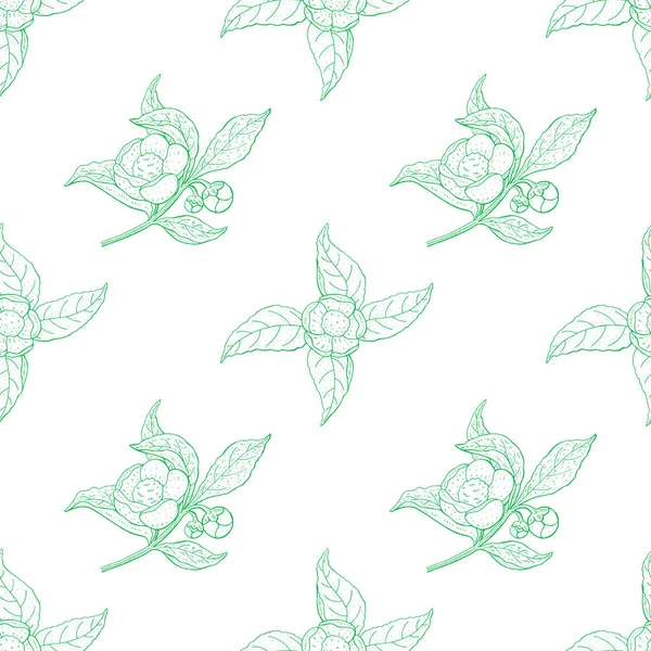 Camellia sinensis motif vintage sans couture. Cosmétique, parfumerie — Image vectorielle