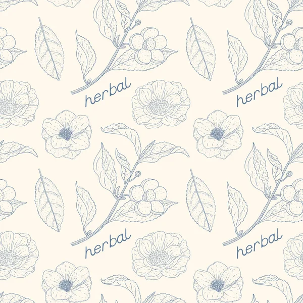 Camellia sinensis motif vintage sans couture. Cosmétique, parfumerie — Image vectorielle