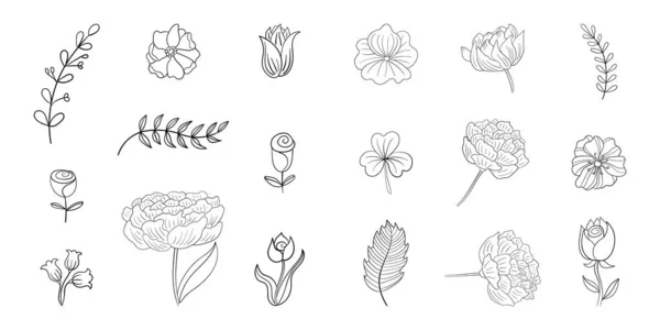Ensemble de fleurs vectorielles de ligne. Dosettes botaniques . — Image vectorielle