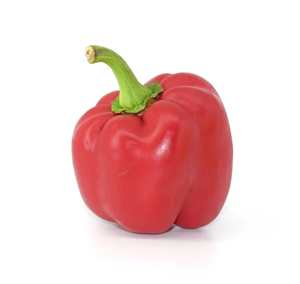 Pepper isolated on white background. Fresh red vegetable photo. — 스톡 사진