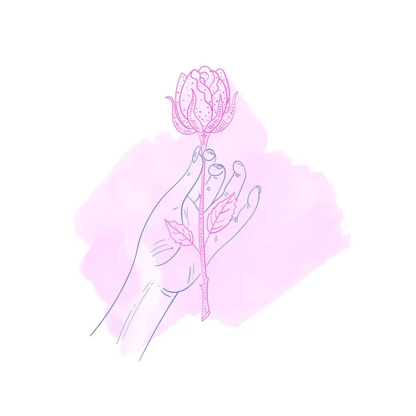 Mano sosteniendo rosa. Vector doodle gesto ilustración aislado o — Archivo Imágenes Vectoriales