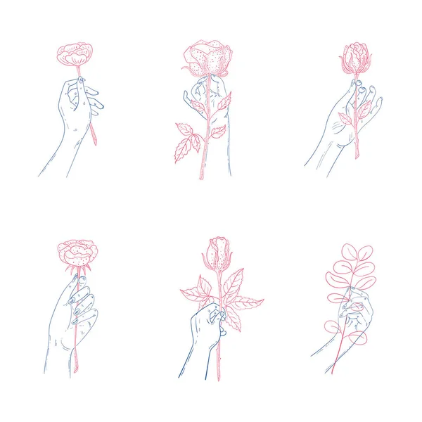 Conjunto de manos sosteniendo rosas. Vector doodle gesto ilustración i — Archivo Imágenes Vectoriales