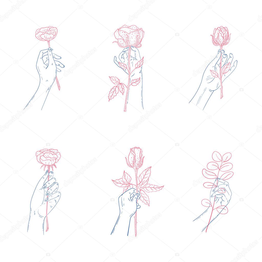 Set of hands holding roses. Vector doodle gesture illustration i