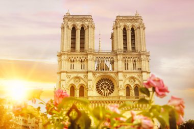 Notre Dame de Paris Katedrali.