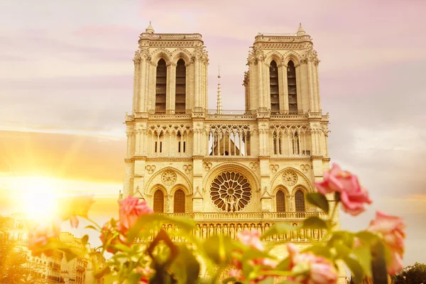 Notre Dame de Paris cathedral. — Stock Photo, Image