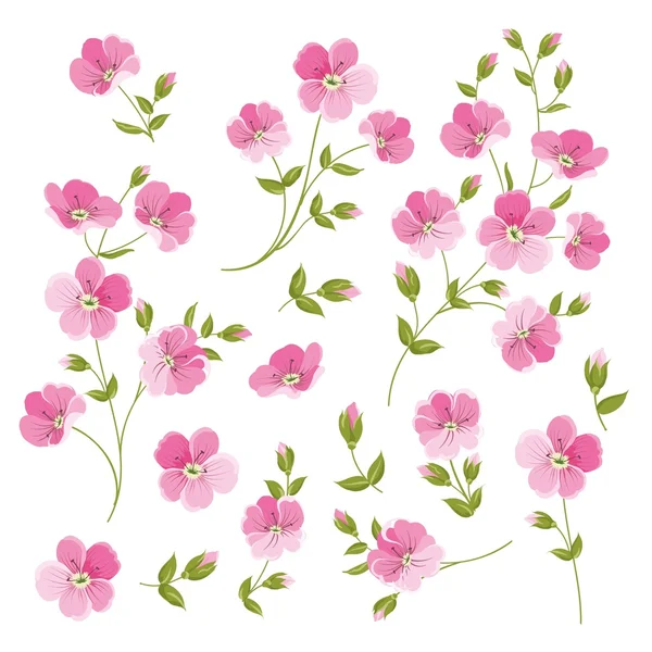 Set di elementi di fiori di lino . — Vettoriale Stock