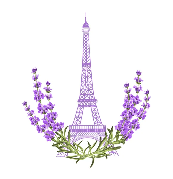라벤더 꽃과 에펠 탑. — 스톡 벡터