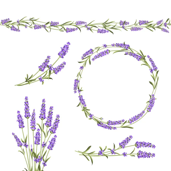 Set van lavendel. — Stockvector