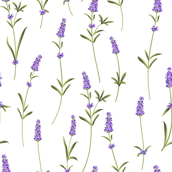 Naadloze patroon van lavendel. — Stockvector