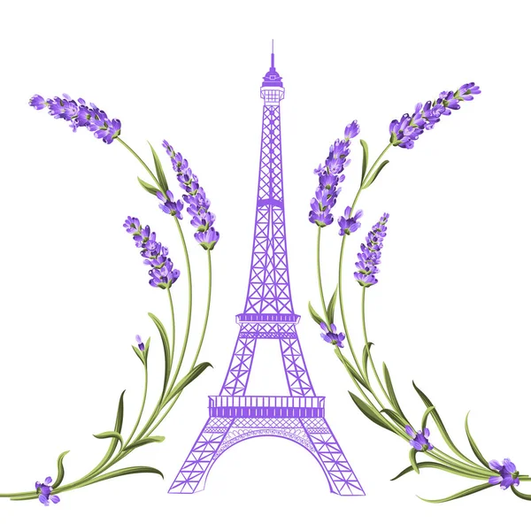Torre Eiffel con fiori di lavanda . — Vettoriale Stock