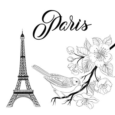 Bir brunch oturan kuş.