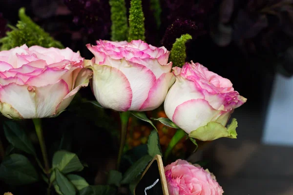 Die Frühlingsblumen. — Stockfoto