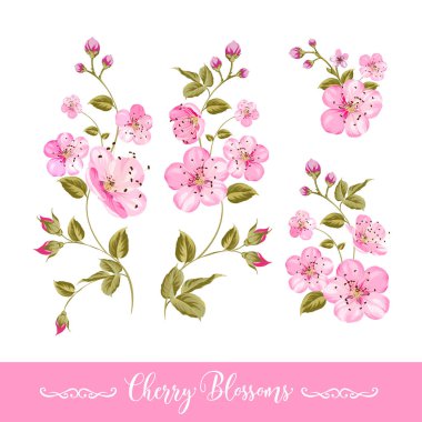 Bahar çiçek öğeleri kümesi