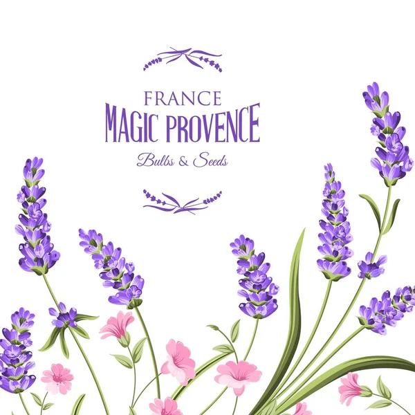 Ramo de flores de lavanda. — Vector de stock