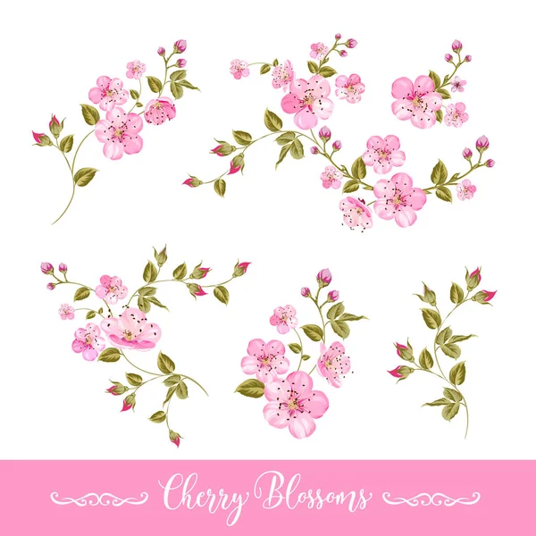 Set of spring flowers elements — Stock Vector