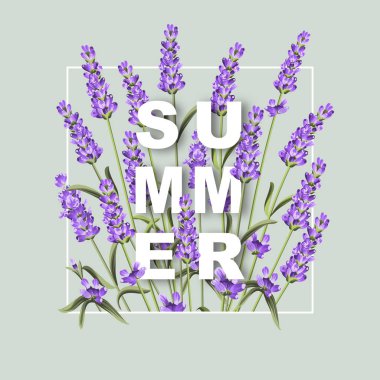 Lavanta çiçekleri ile zarif kartı.