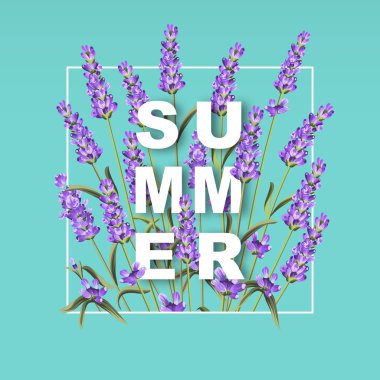 Lavanta çiçekleri ile zarif kartı.