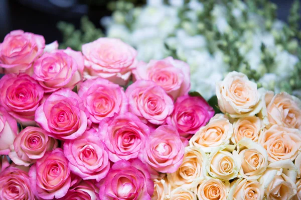 Όμορφα και πολύχρωμα λουλούδια. — Φωτογραφία Αρχείου