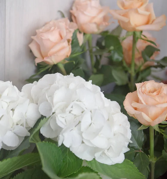 Rosafarbene Hortensienblüten. — Stockfoto