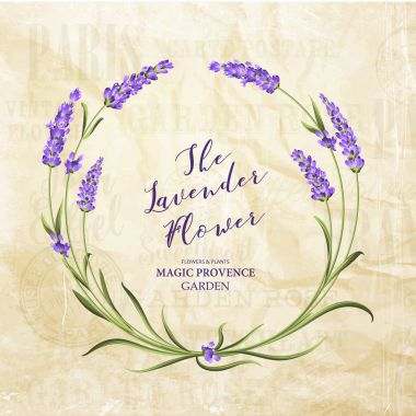 Lavanta zarif kartı.