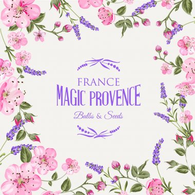 Lavanta provence kartı.