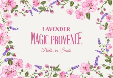 Lavanta provence kartı.