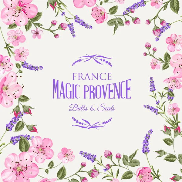 Lavendel provence kaart. — Stockvector