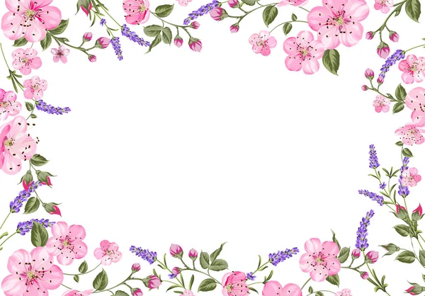 Lavendel Provence Karte. — Stockvektor