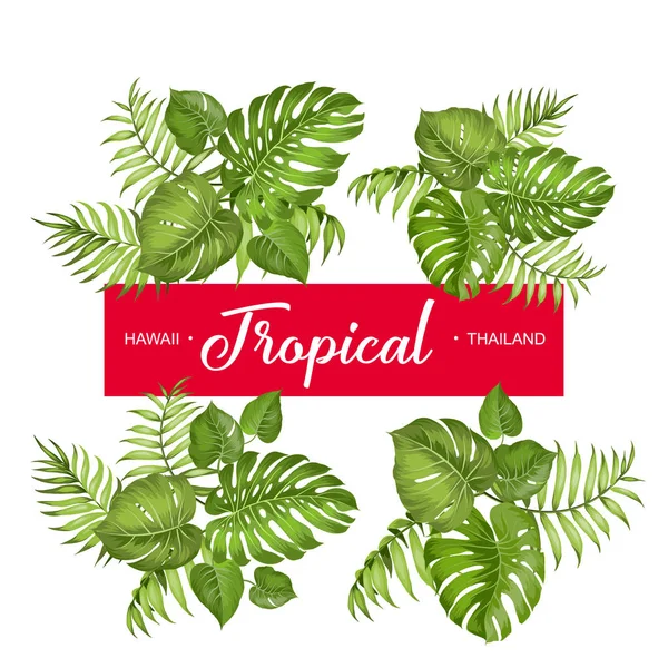 Tropiska uppsättning blad. — Stock vektor