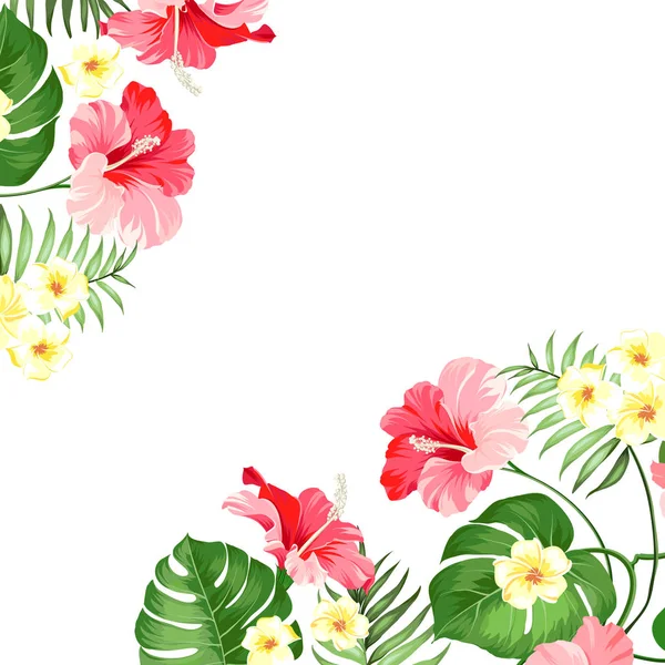 Guirlande de fleurs tropicales . — Image vectorielle