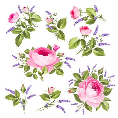 Vintage gül kümesi.