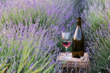 Şişe şarap lavanta karşı.