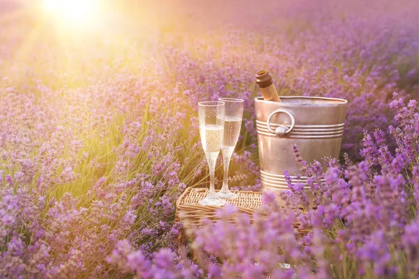 Delicious champagne over lavender field. — Stock Photo, Image