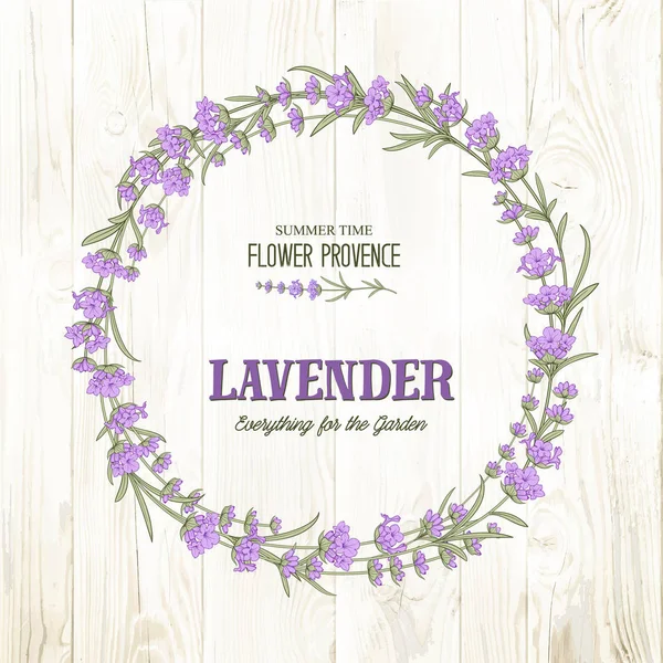 The lavender elegant wreath. — Stock Vector
