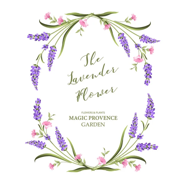 Elegante tarjeta con flores de lavanda . — Vector de stock