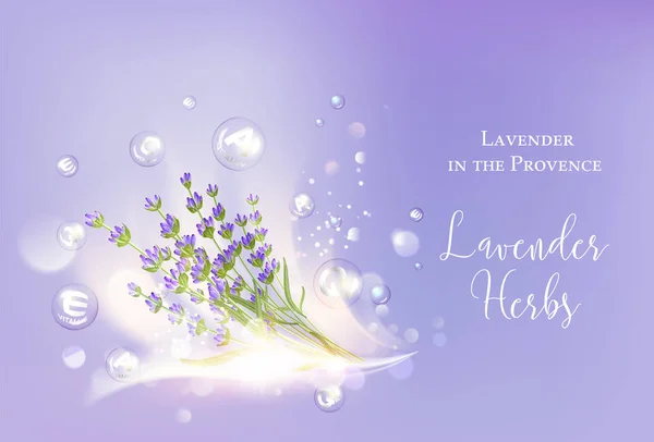 Lavendel Kosmetiklabel. — Stockvektor