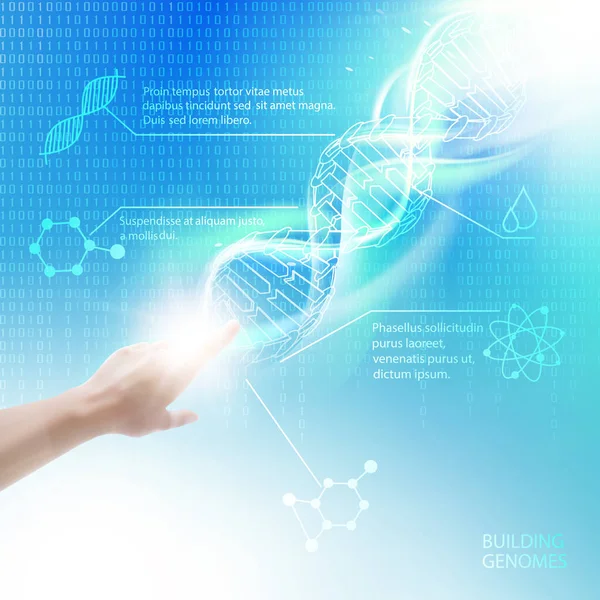 Formula di scienza del DNA . — Vettoriale Stock