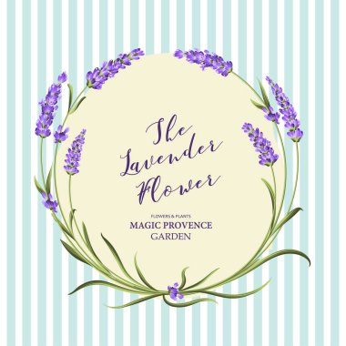 Lavanta zarif kartı.