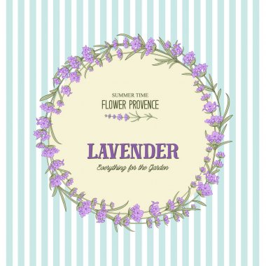 Lavanta zarif kartı.