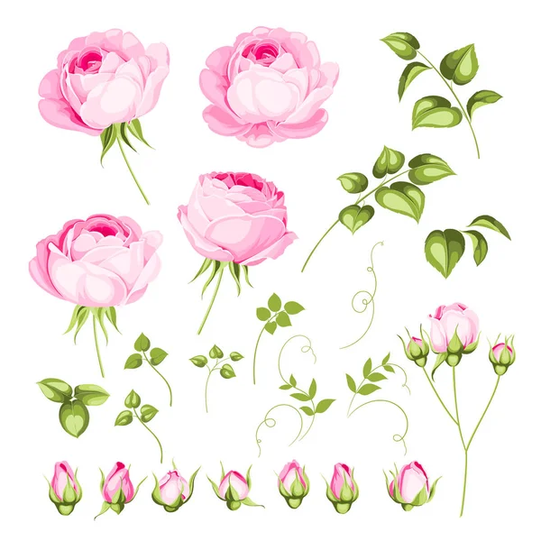 Vintage flowers set. — Stock Vector