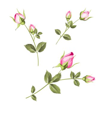 set bahar çiçekleri.