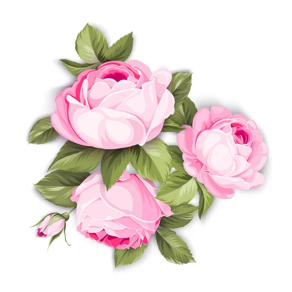 La rosa floreciente . — Archivo Imágenes Vectoriales