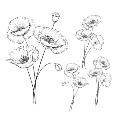 Vintage haşhaş ayarla.