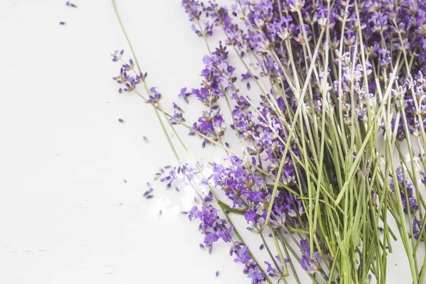 The Dry lavender. — Stock Photo, Image