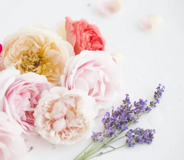 Composition of red roses and violet lavender. — Stock Photo, Image