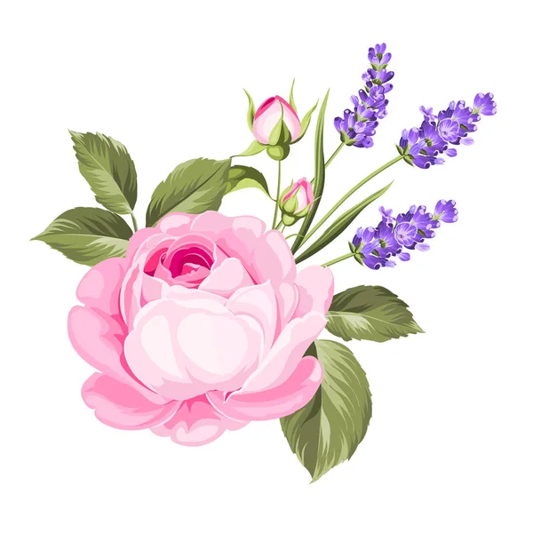 Метка с цветами роз . — стоковый вектор
