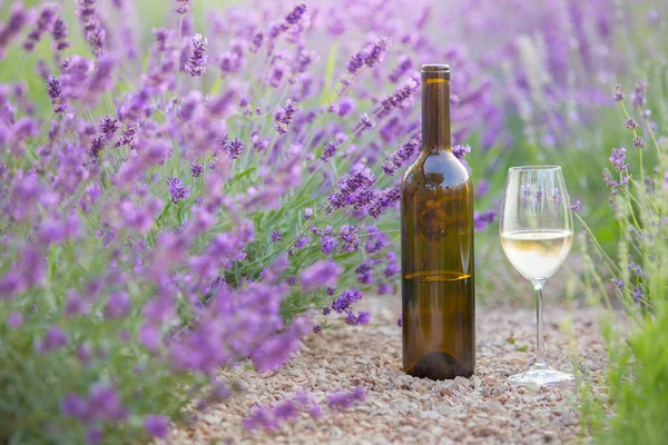 Köstlichen Wein über Lavendelblütenfeld. violette Blumen auf dem Hintergrund — Stockfoto