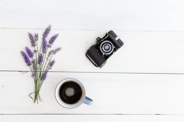 Lavendel buskar närbild vid solnedgången. Solnedgången glimmar över lila blommor av lavendel. Provence-regionen för Frankrike — Stockfoto