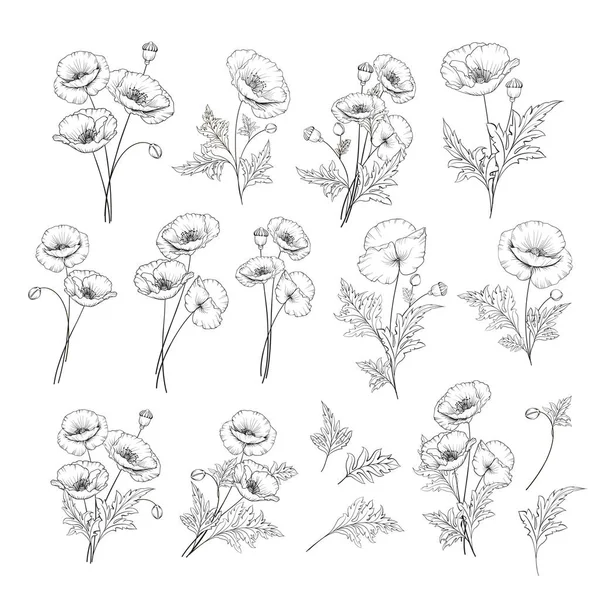 Conjunto de estilo linear de papoula branca, ilustração de contorno desenhado à mão de flores isoladas em um fundo branco. Coleção de papoilas brancas . — Vetor de Stock